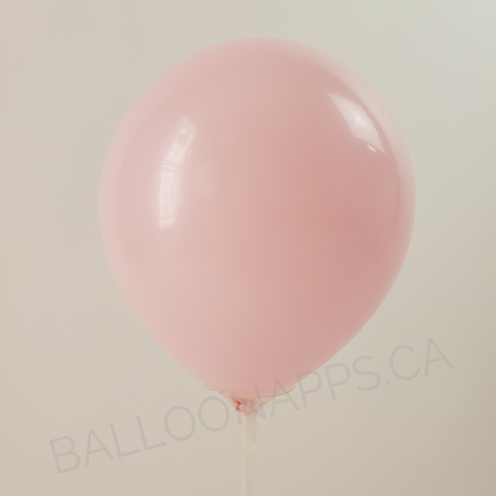 balloon texture Q (100) 350 Standard Pink balloons