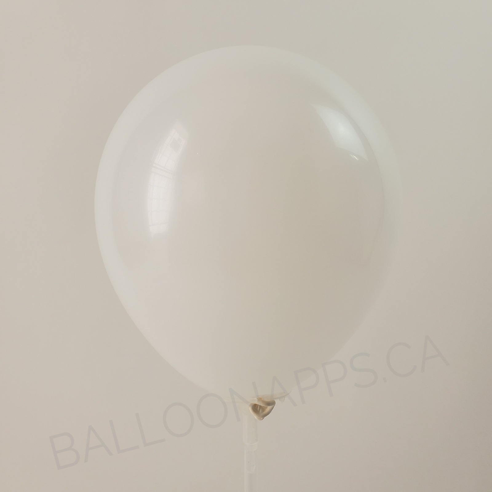 balloon texture SEM (50) 260 Fashion White balloons