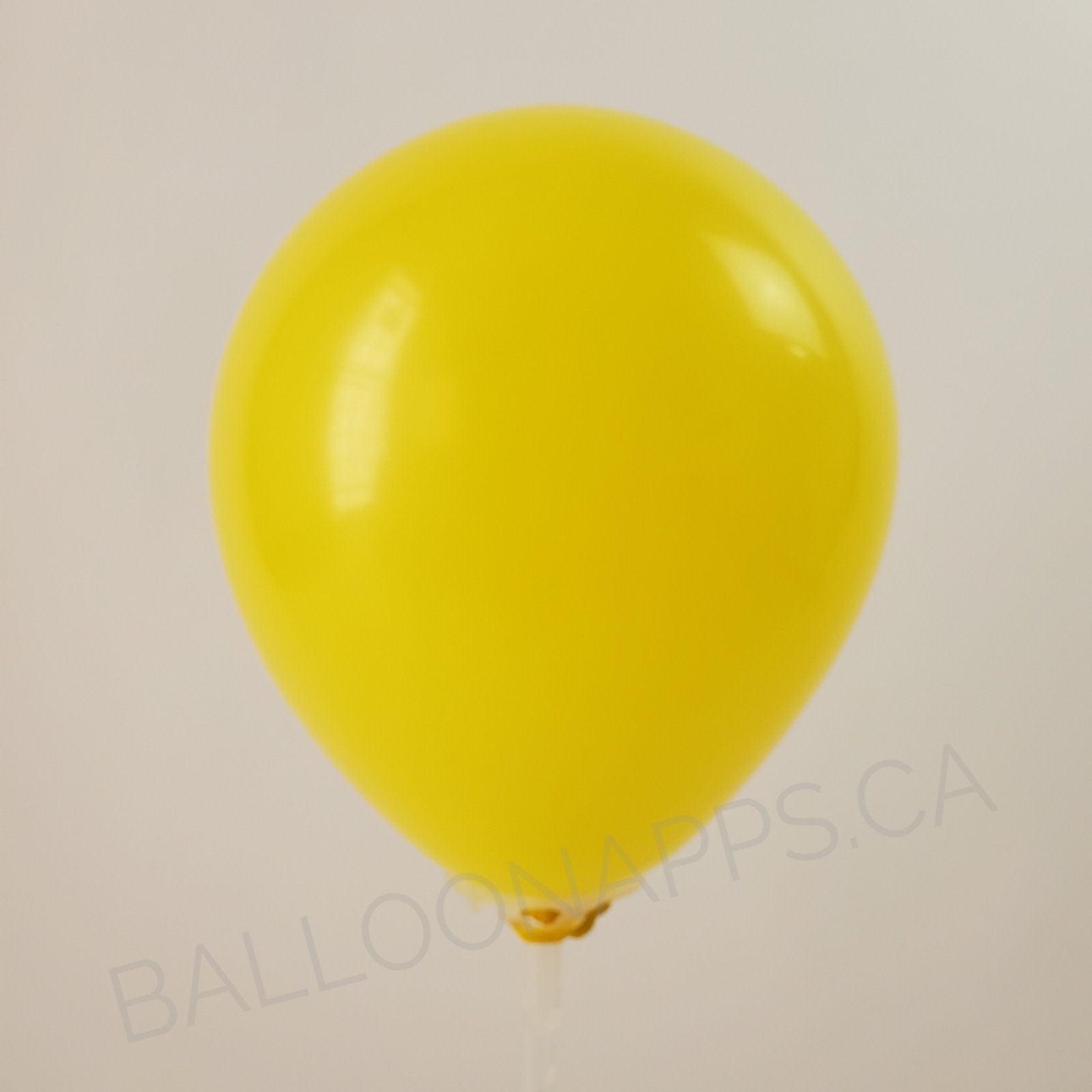 balloon texture Q (100) 350 Standard Yellow balloons