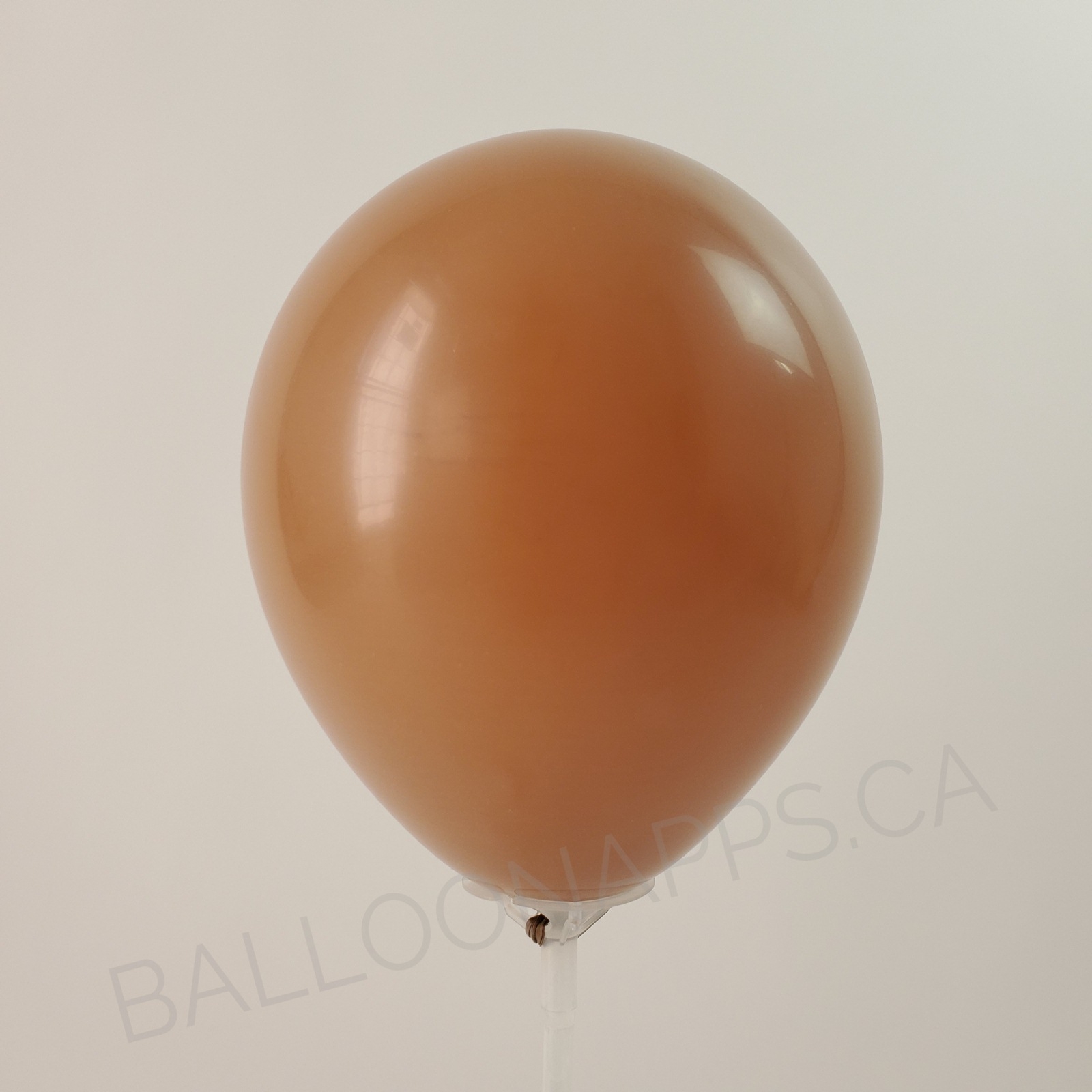balloon texture Qualatex 260 Fashion Mocha Brown