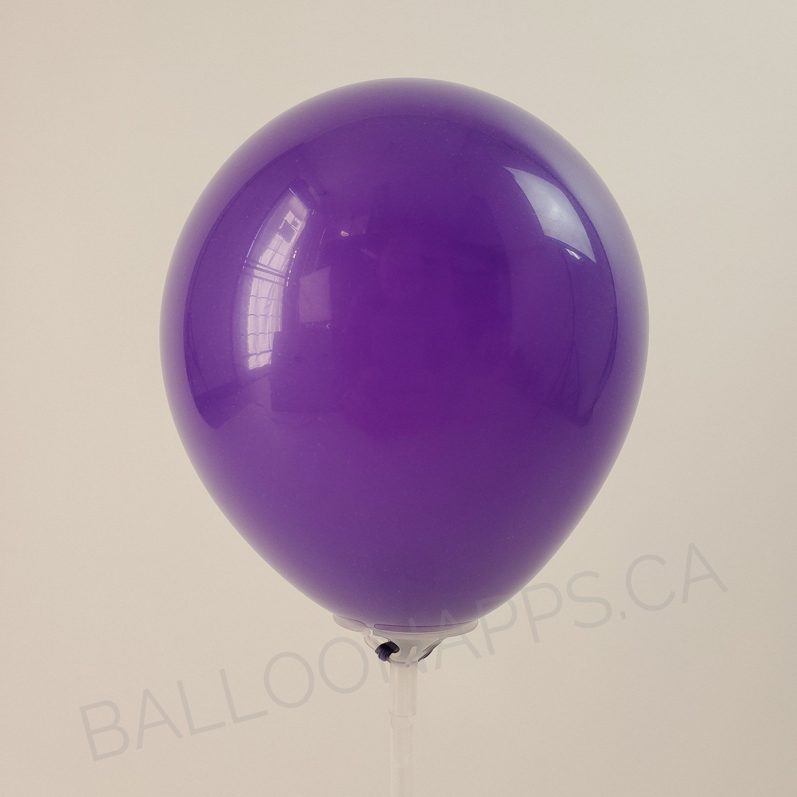 balloon texture Qualatex 350 Fashion Purple Violet