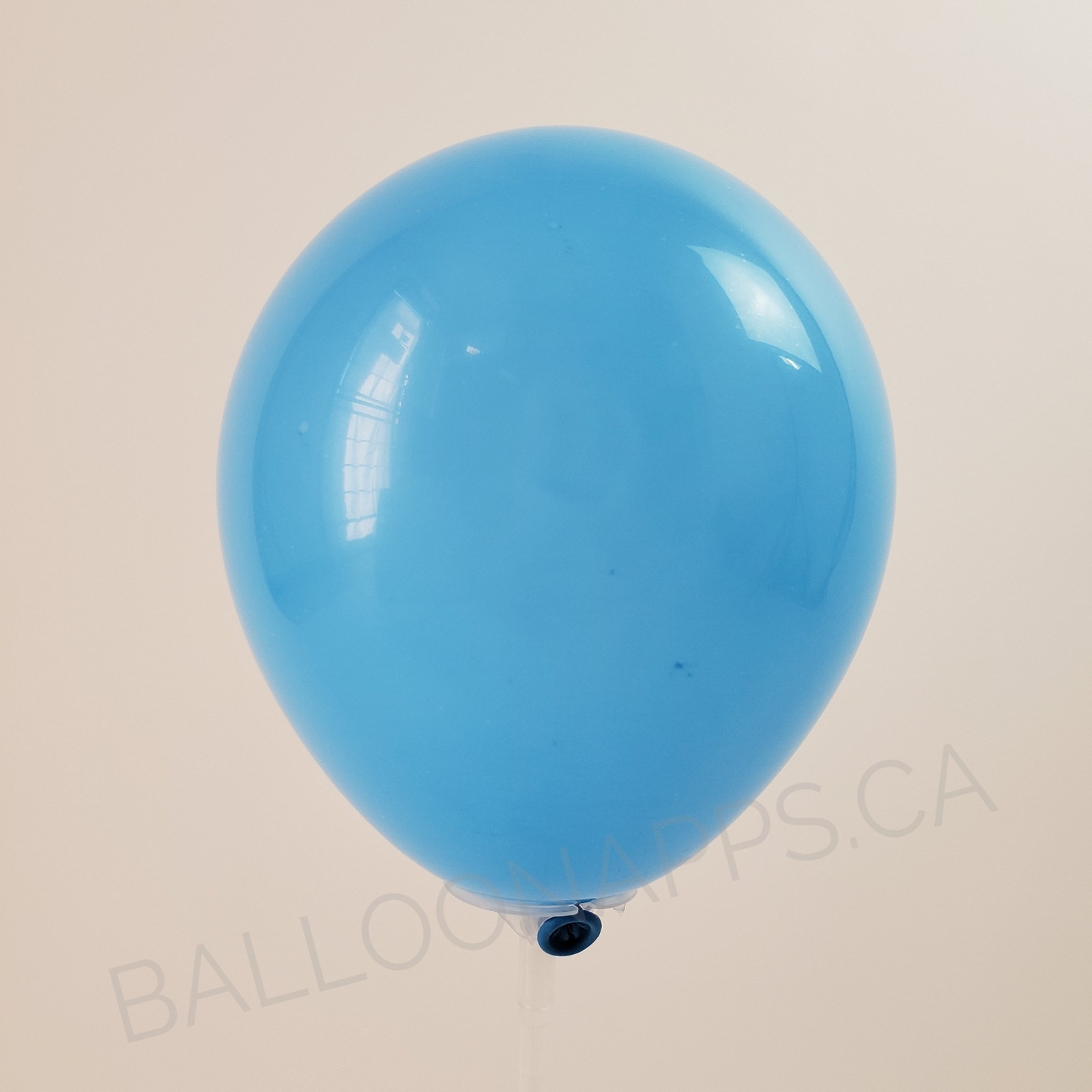 balloon texture Q (100) 350 Fashion Robin's Egg balloons