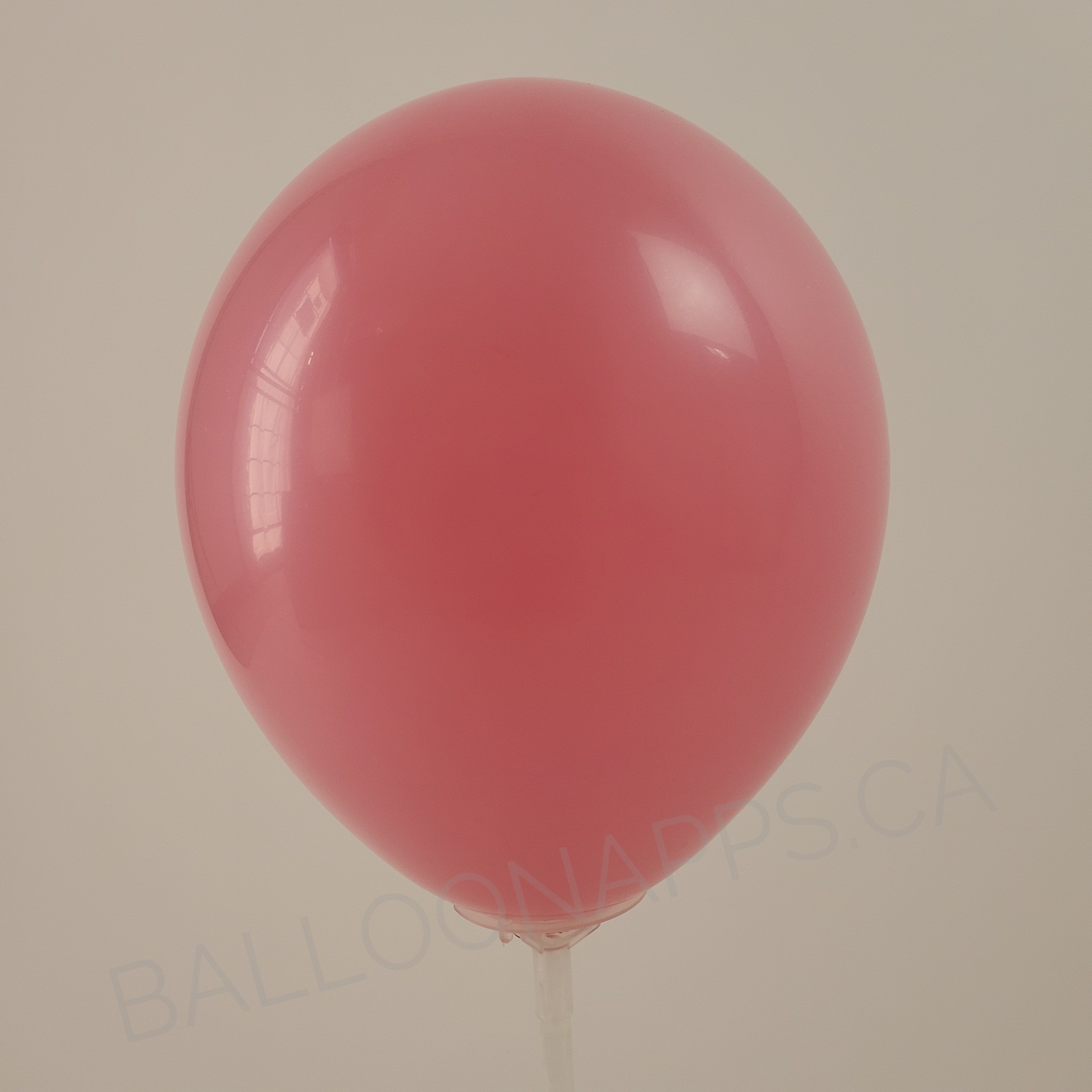 balloon texture Q (100) 350 Fashion Rose balloons