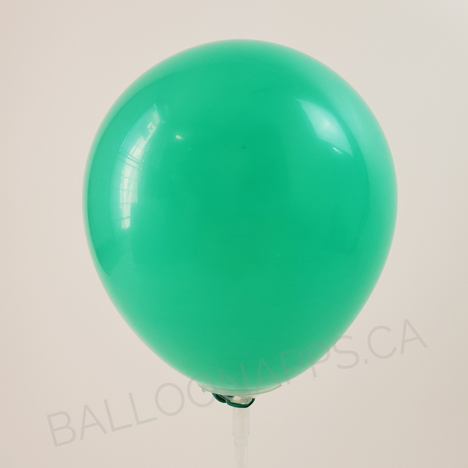 balloon texture Qualatex 350 Fashion Wintergreen