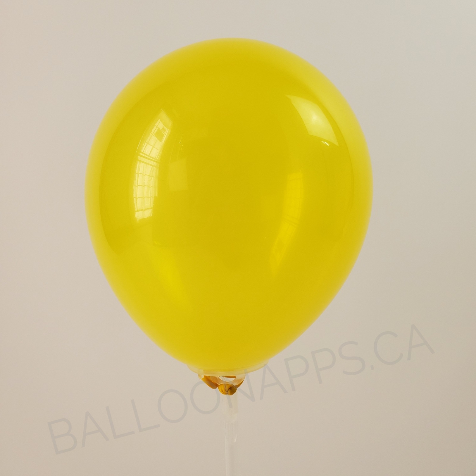 balloon texture Qualatex 350 Jewel Citrine Yellow