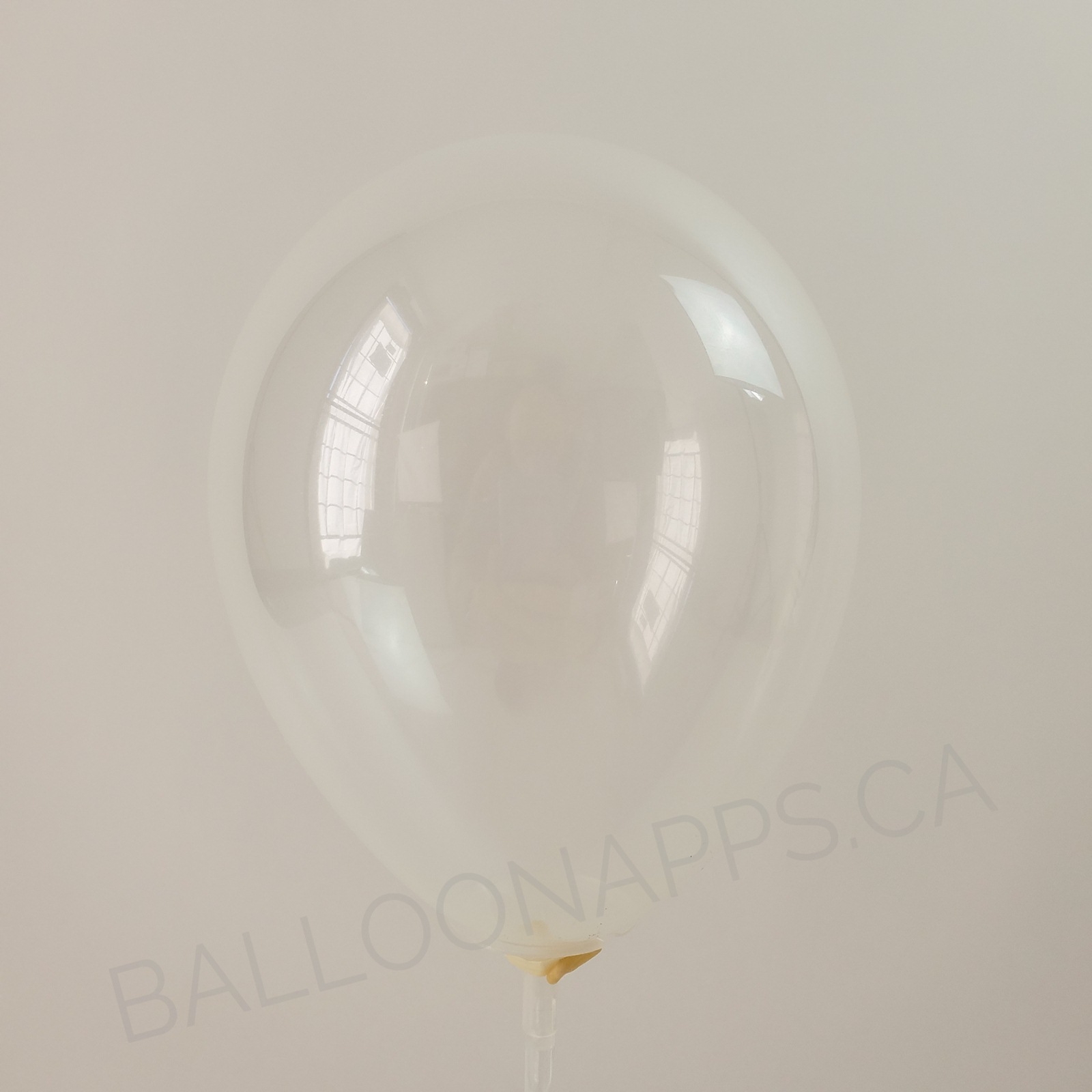 balloon texture Q (100) 350 Jewel Diamond Clear balloons