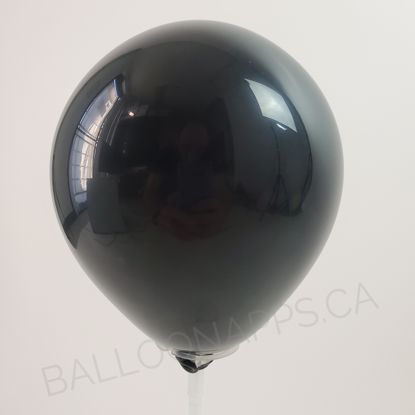 balloon texture Q (100) 160 Fashion Onyx Black balloons