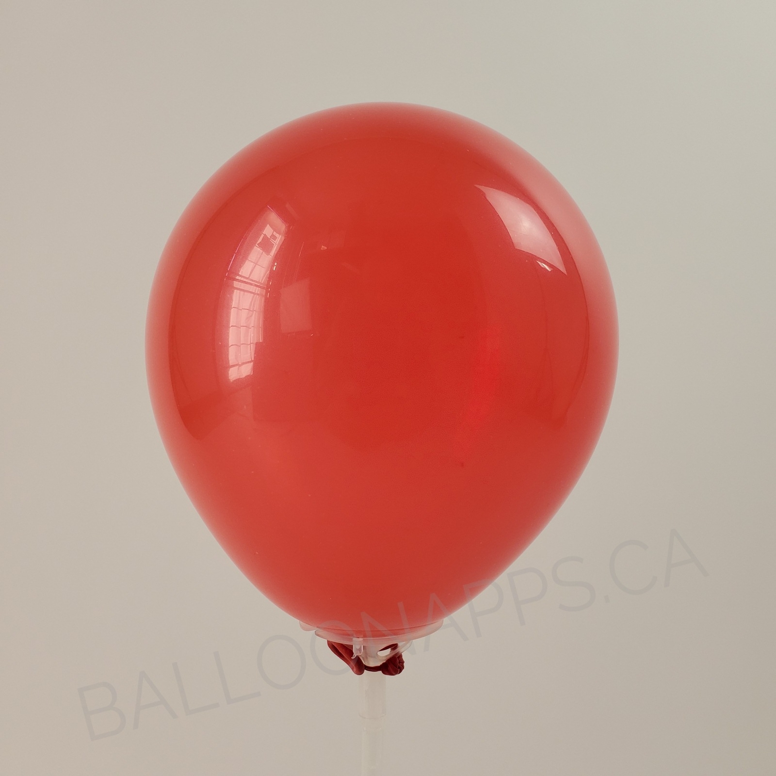balloon texture Qualatex 350 Jewel Ruby Red