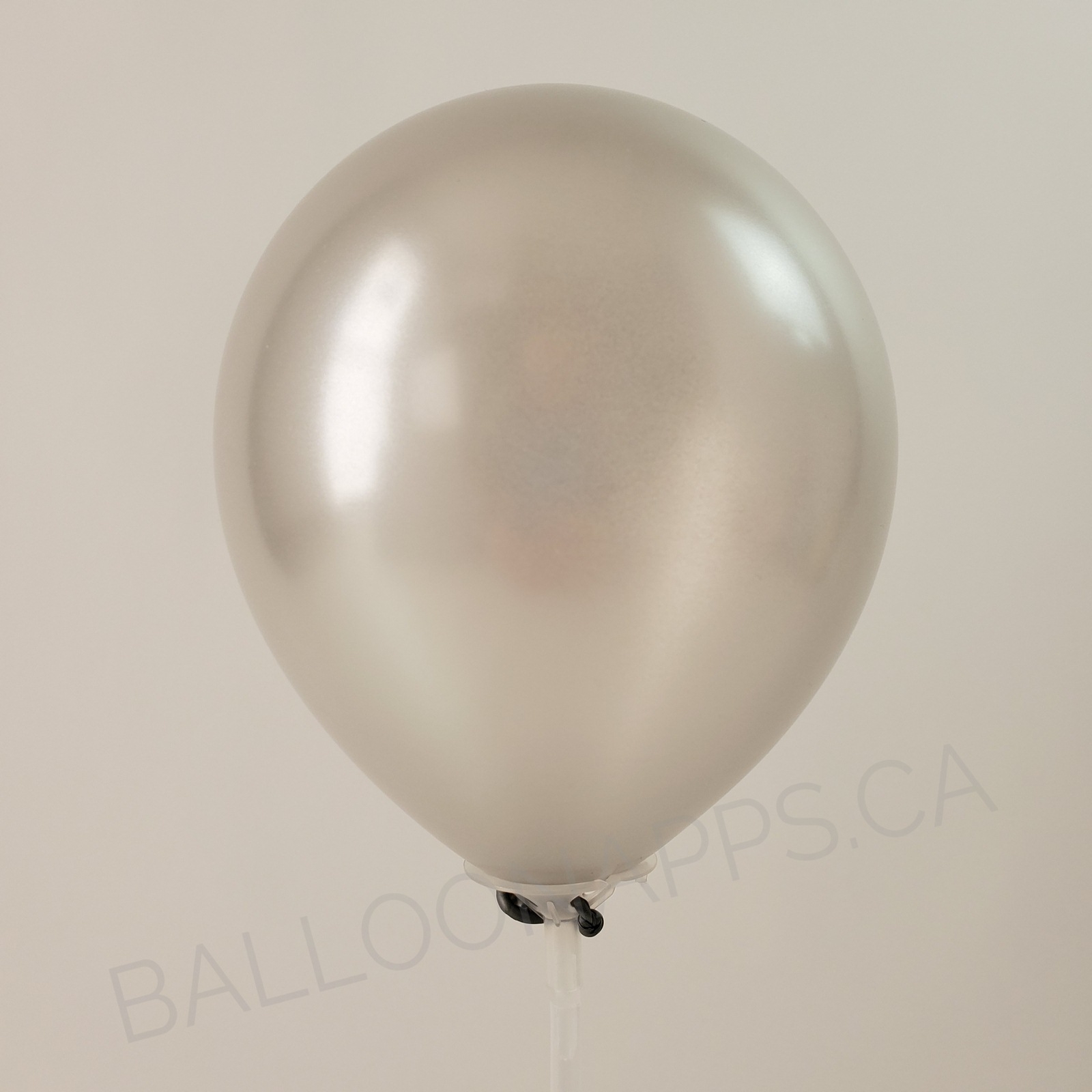 balloon texture Qualatex 350 Pearl Silver