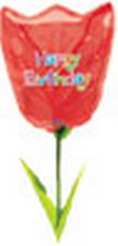 Airwalker - Birthday Tulip ANAGRAM