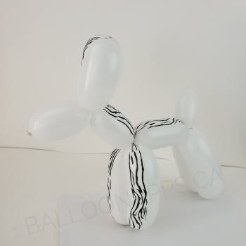 Sempertex 260 Zebra Print Fashion White  Balloons