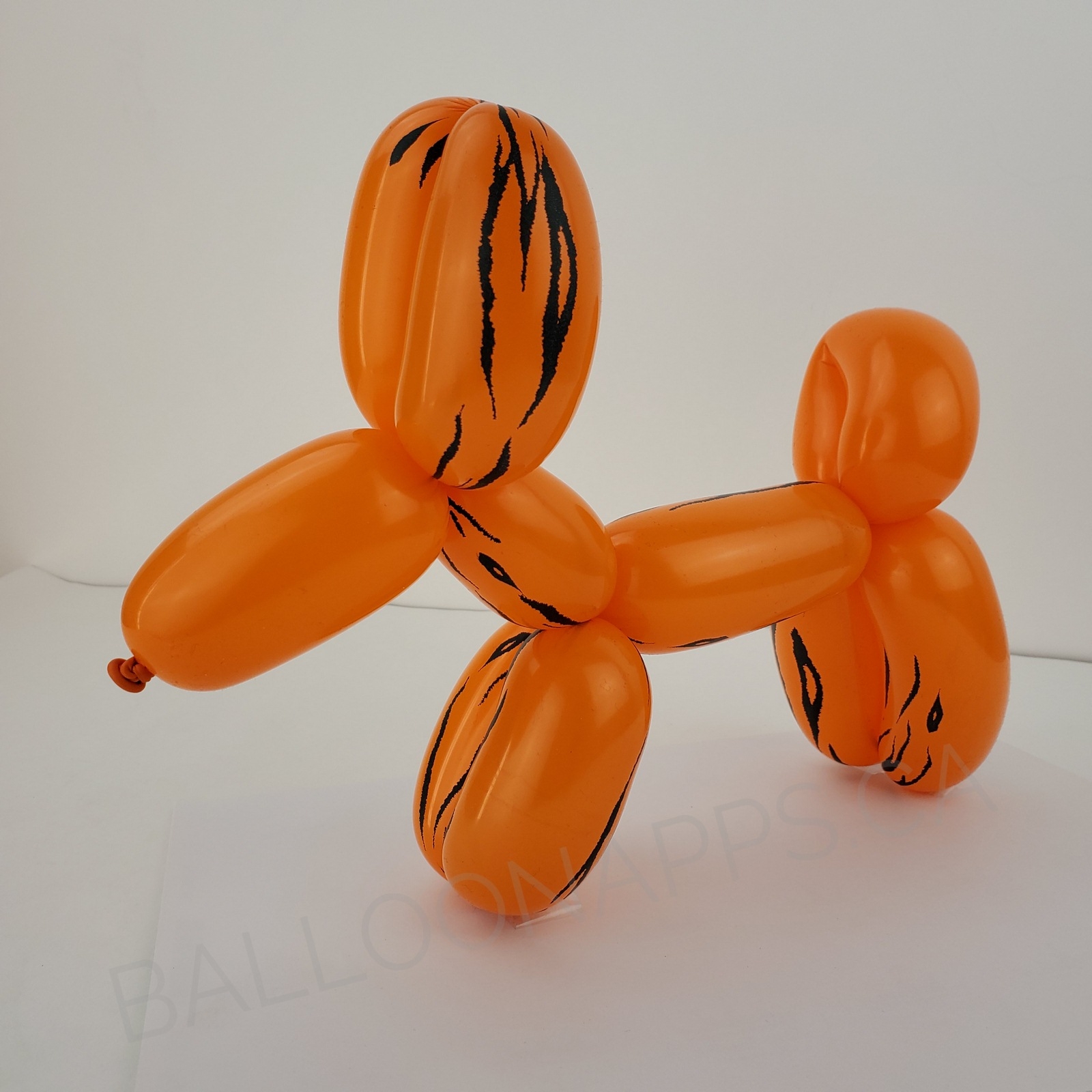 Sempertex 260 Tiger Print Orange