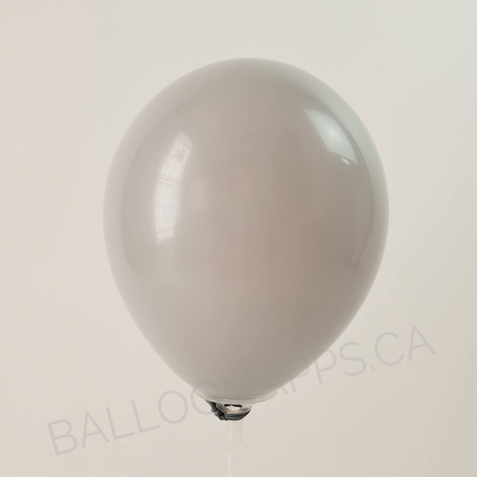 balloon texture Qualatex 350 Fashion Gray