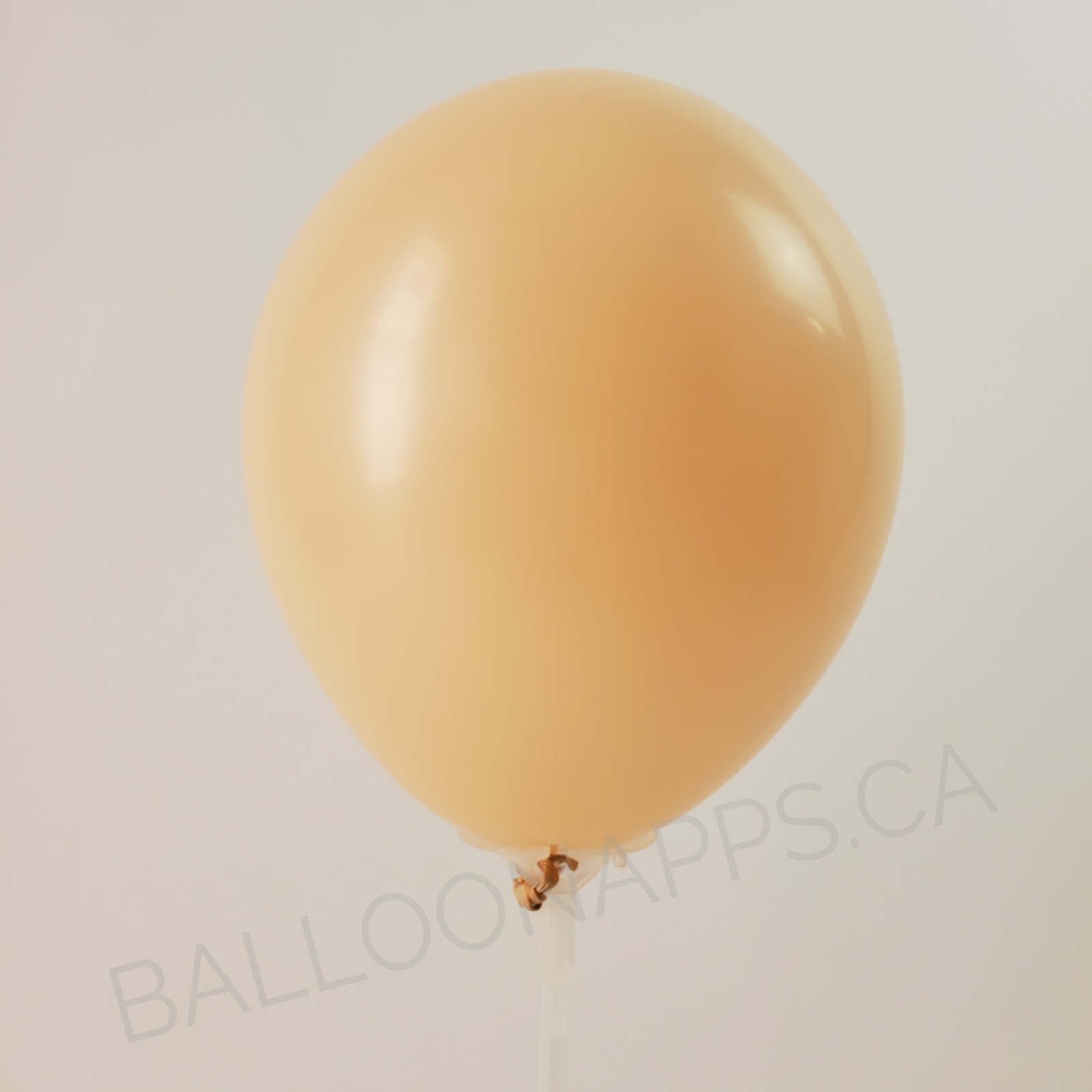 balloon texture Qualatex 160 Fashion Blush