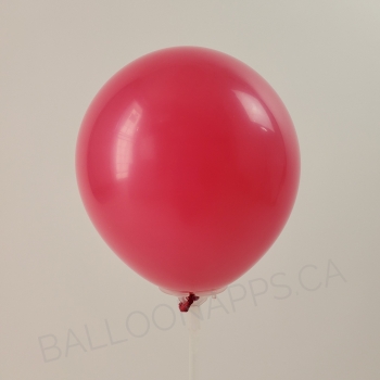 Q (100) 11" Fashion Wild Berry balloons latex balloons