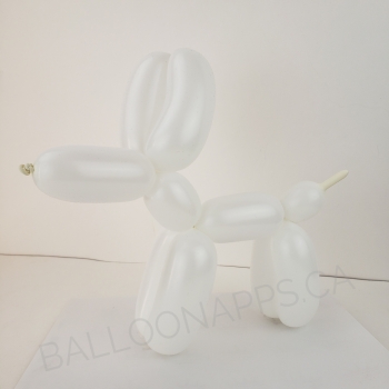 Sempertex 260 White  Balloons