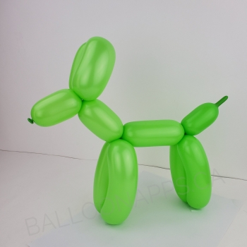 SEM (50) 260 Deluxe Key Lime balloons latex balloons