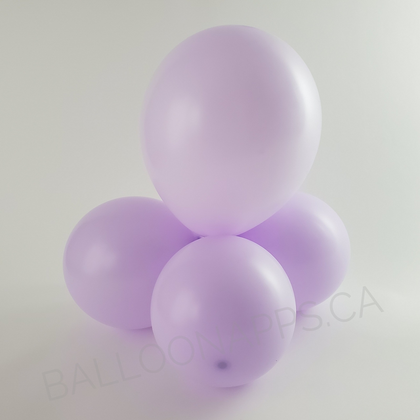 balloon texture Sempertex 260 Pastel Matte Lilac