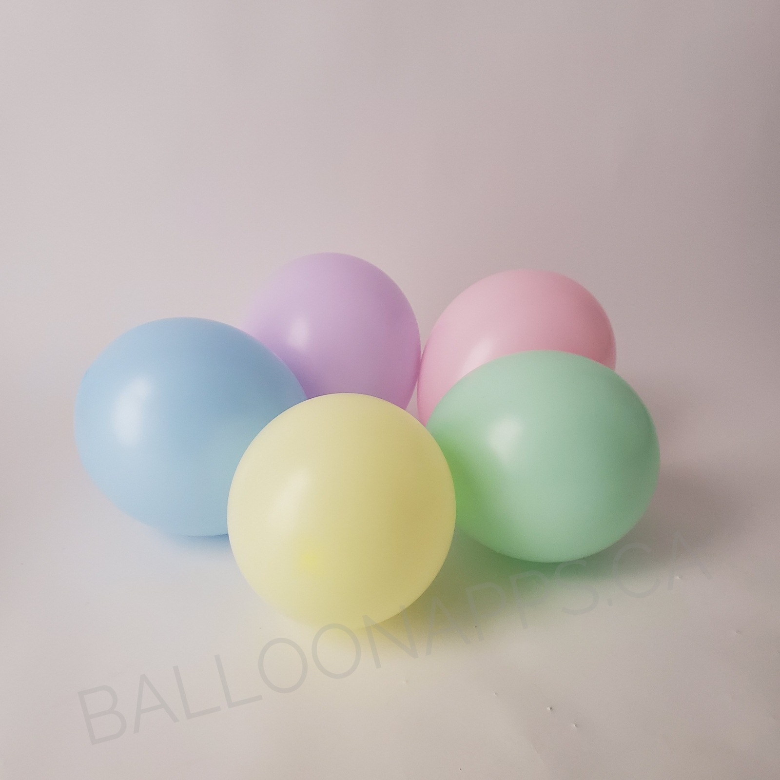 balloon texture Sempertex 260 Pastel Matte Assorted