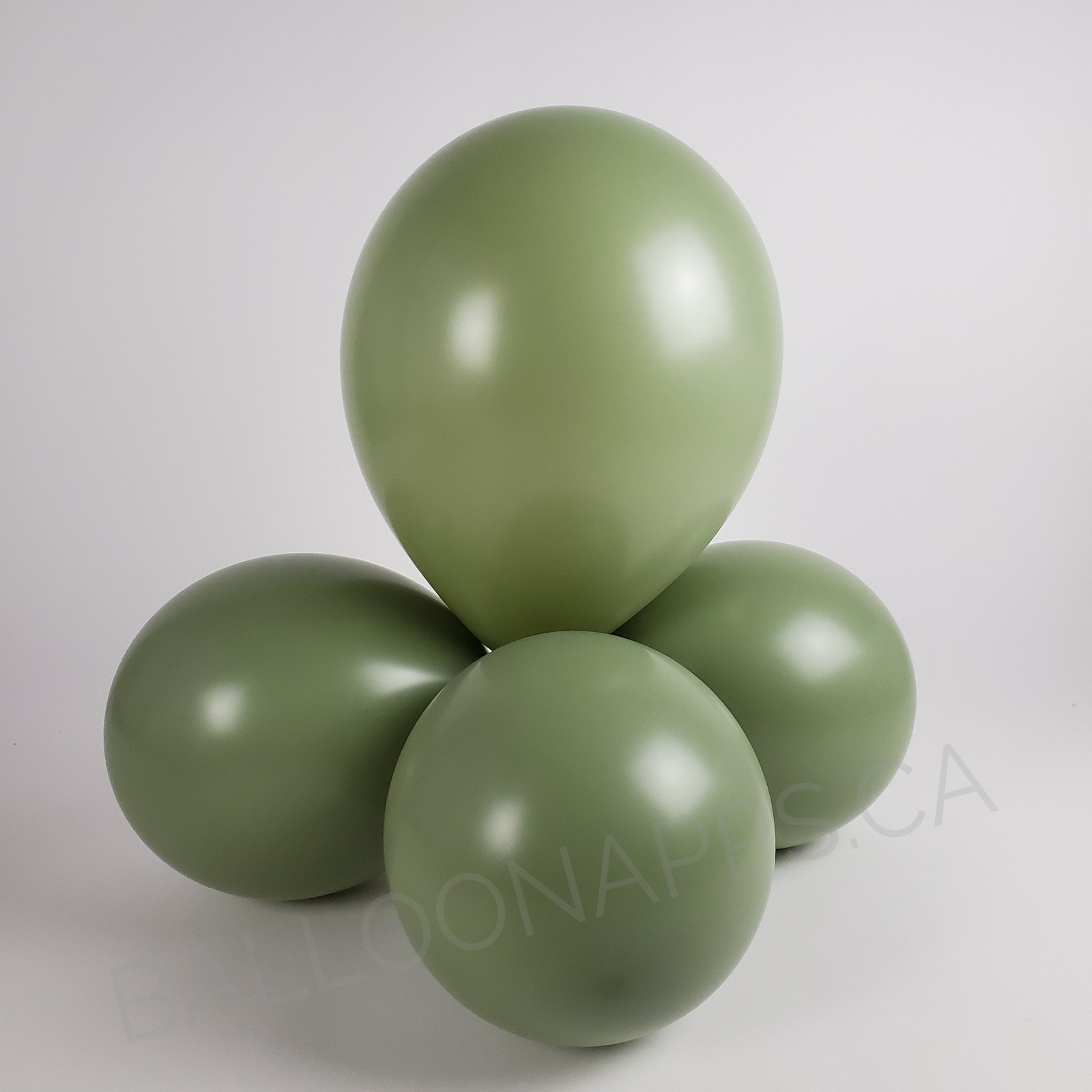 balloon texture BET (50) 260 Deluxe Eucalyptus balloons