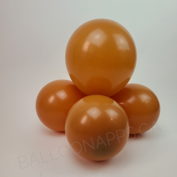 ECONO (50) 11" Caramel balloons latex balloons