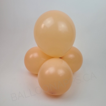 ECONO (50) 11" Blush balloons latex balloons