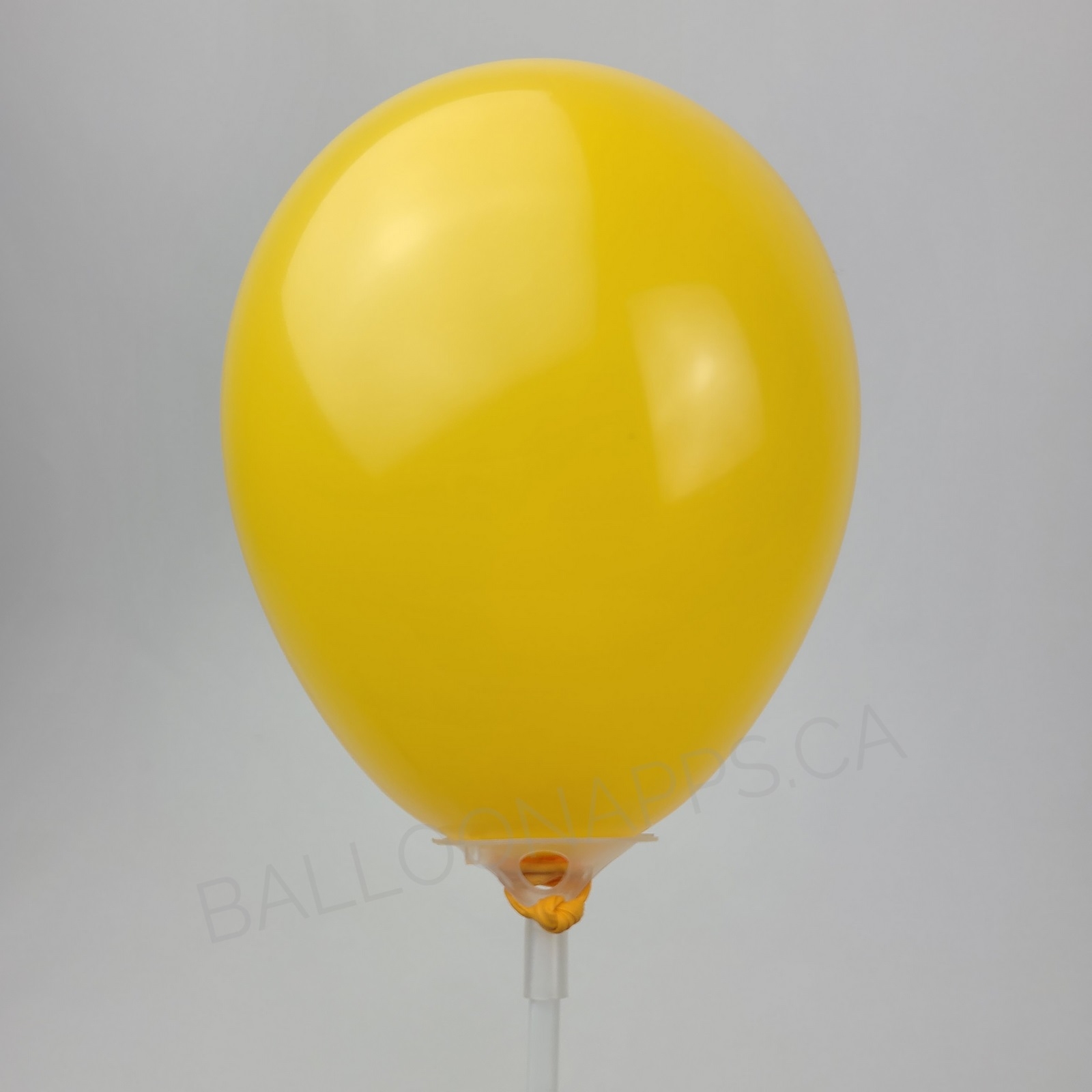 balloon texture Q (100) 5