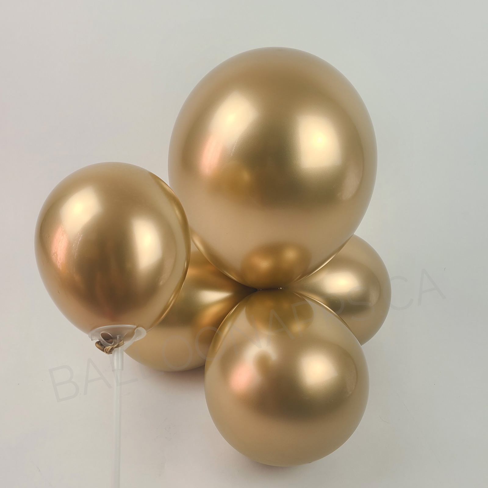 balloon texture SEM (50) 11