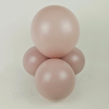 Sempertex 11" Pastel Dusk Rose balloons  Balloons