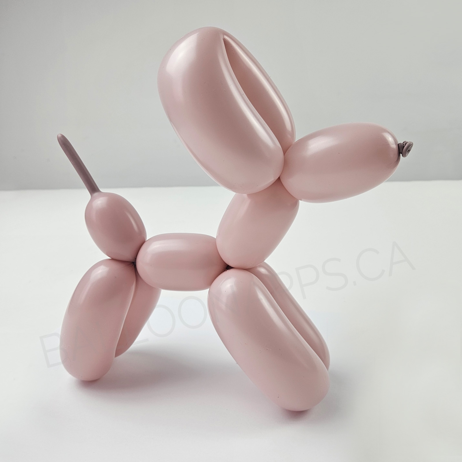 Sempertex 260 Pastel Dusk Rose Latex balloons