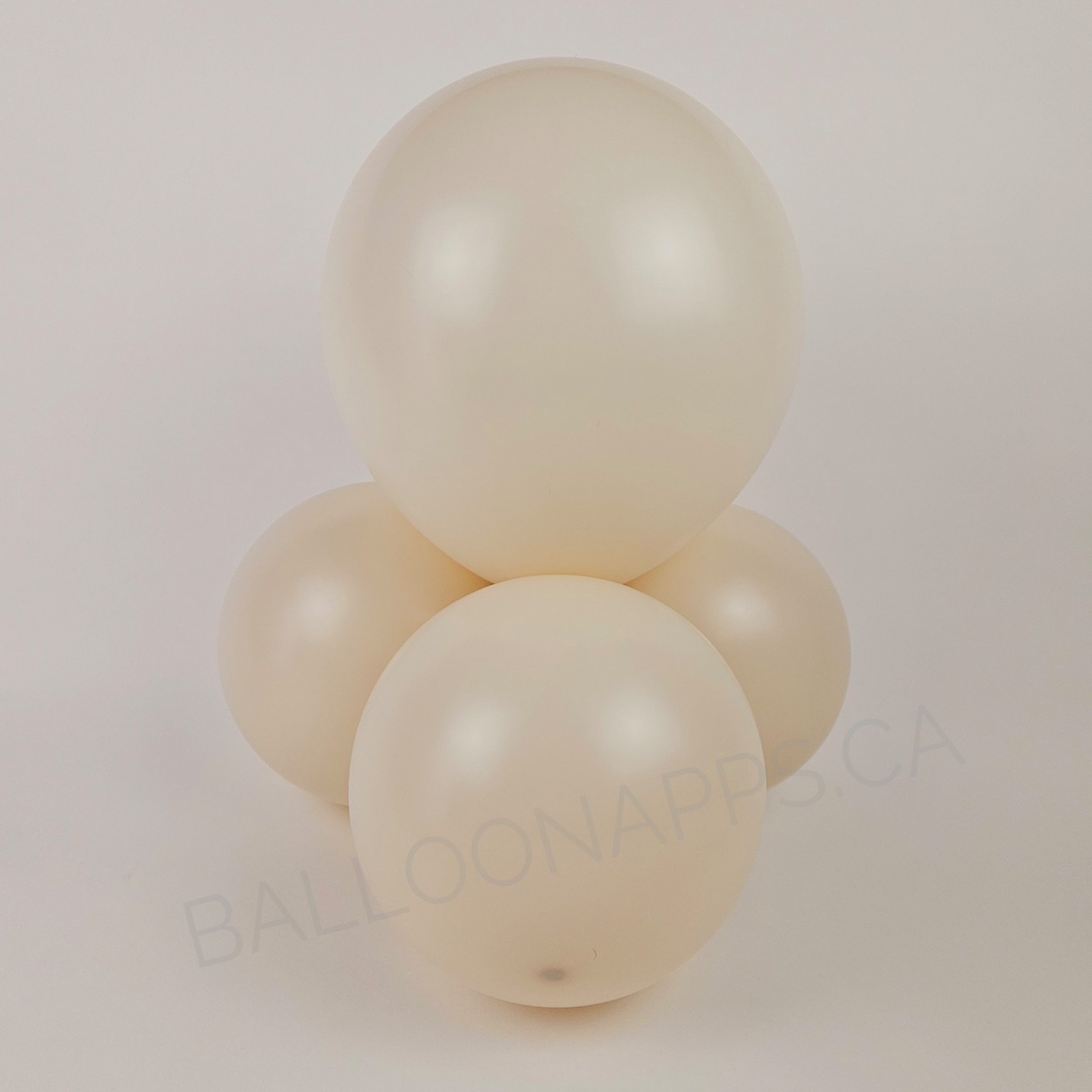 balloon texture Sempertex  260 Pastel Dusk Cream Latex balloons
