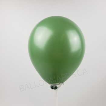 Q (100) 11" Fashion Cactus balloons latex balloons