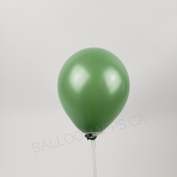 Q (100) 5" Fashion Cactus balloons  Balloons