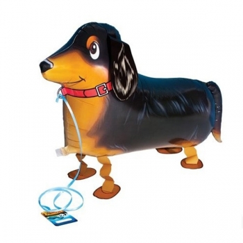 Dachshund Dog Pet Airwalker  Balloon
