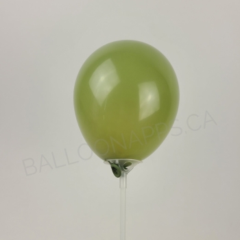 ECONO   Eucalyptus balloons ECONO