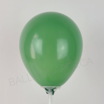 ECONO   Sage Green balloons ECONO