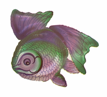 Shape - Betta Fish ANAGRAM